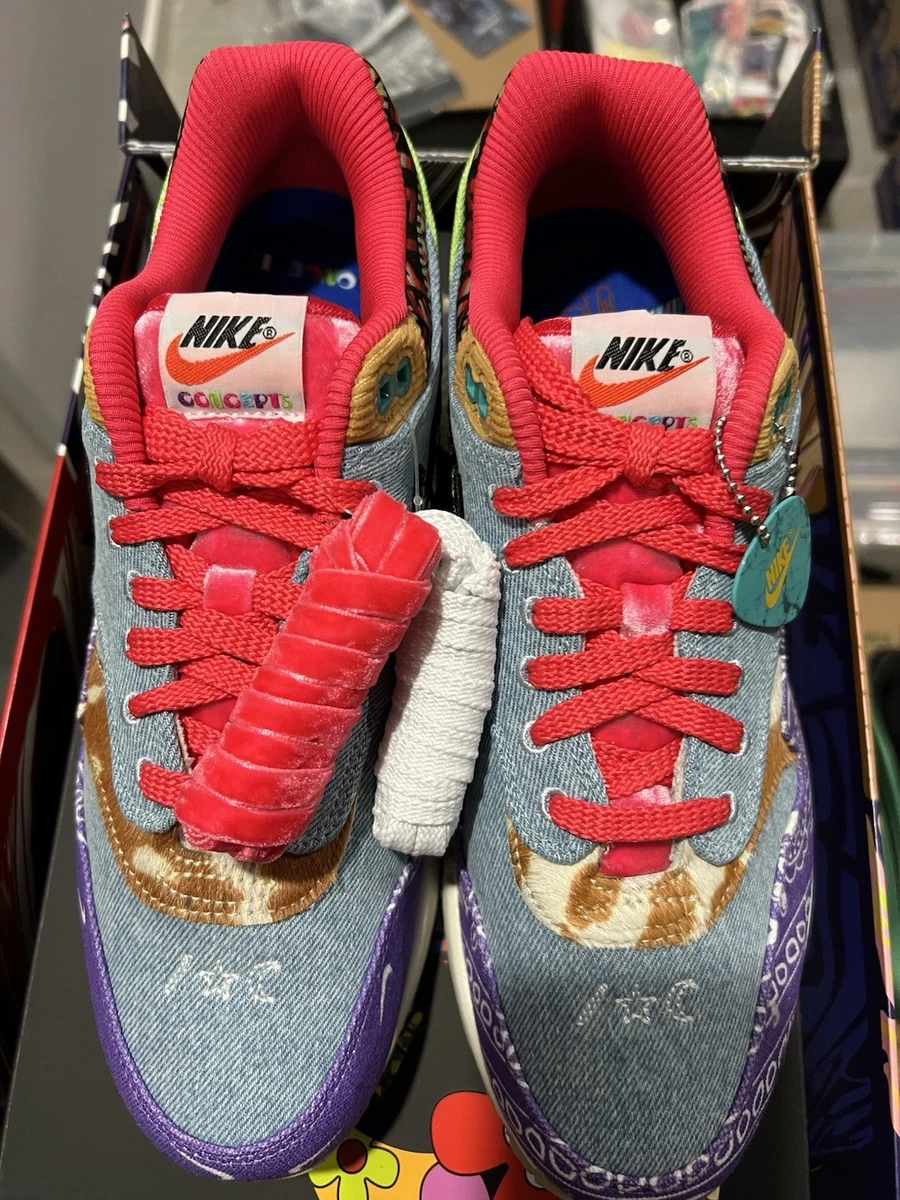 Concepts x Nike Air Max 1 SP Special Box Far Out for Sale