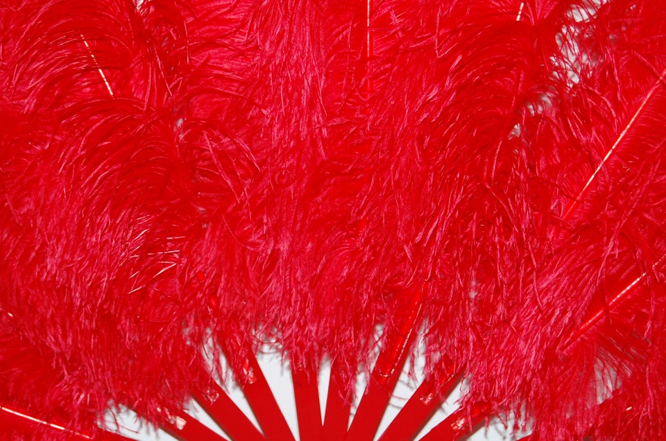 VENTILADOR Pluma Avestruz Grande 50" x 30" para Baile Burlesco/Disfraz/Halloween/Espectáculo Foto 2 de 4