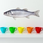 Seabass Fish Kitchen Wall Sticker WS-44614