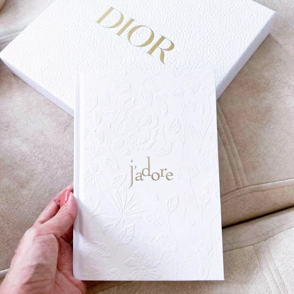 Converse dior journal new arrivals