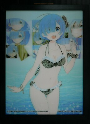 Re: Life in a different world: Rem 3D Art Panel v2 B, Zero - JAPAN