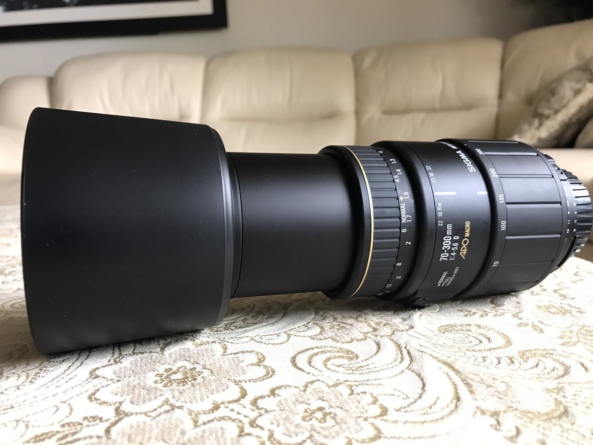 Sigma DG 70-300mm f/4.0-5.6 APO DG Lens For Nikon for sale Sigma DG 70-300mm f/4.0-5.6 APO DG Lens For Nikon for sale