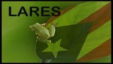 Lares Pueblo Puerto Rico Flag Coqui Patch W/  Hook & Loop Fastener