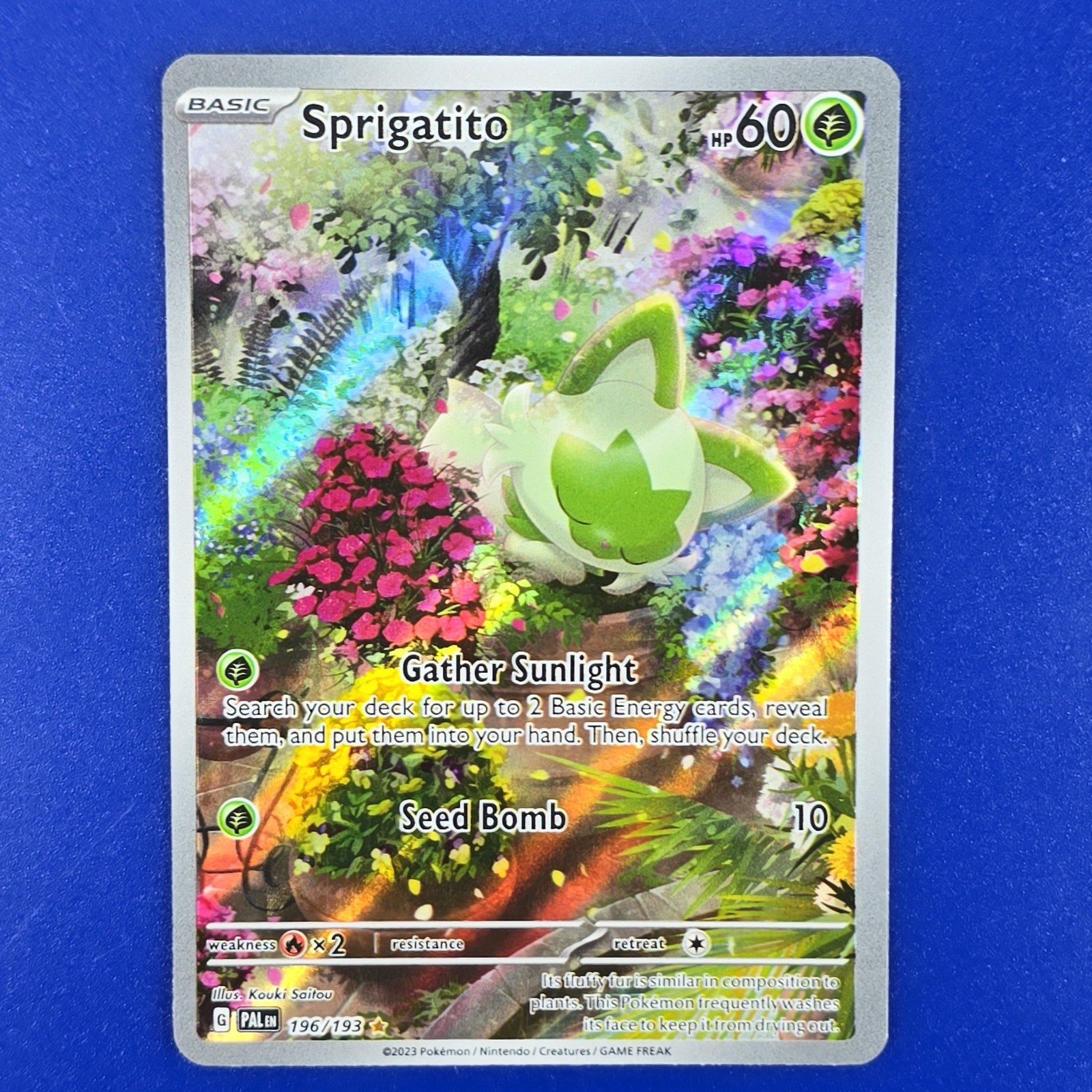 Pokémon TCG Sprigatito Paldea Evolved Illustration Rare Card 196/193 NM