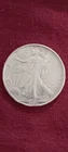 1991  American Silver Eagle ( 1oz  Fine Silver)   UNC  Nice
