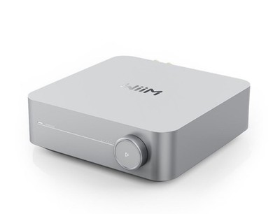Wiim Amp - Integrierter Streaming-Verstärker Silber | Neu ++ UVP 369  