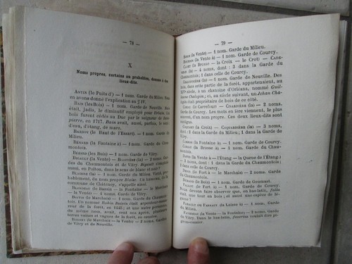 DOMET : Etymologie / Histoire de la FORÊT D'ORLEANS, 1896/1892. - Picture 9 of 24