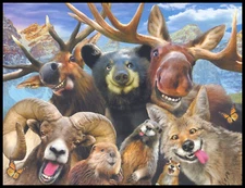 Greeting Card - Bear Beaver Marmot - Howard Robinson - Any Occasion - 0274