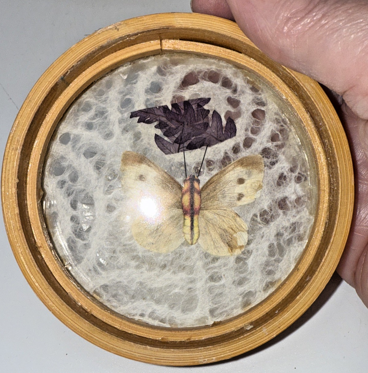Picture 6 of 13