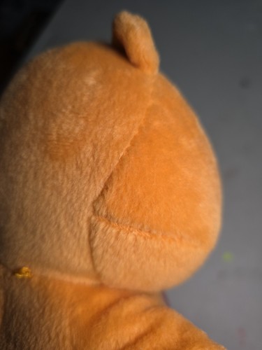 2004 Tenderheart Bear Care Bears sprechendes Plüschtier orange funktioniert 11,5 Zoll - Bild 15 von 19