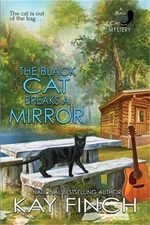 The Black Cat Breaks a Mirror (Paperback or Softback)