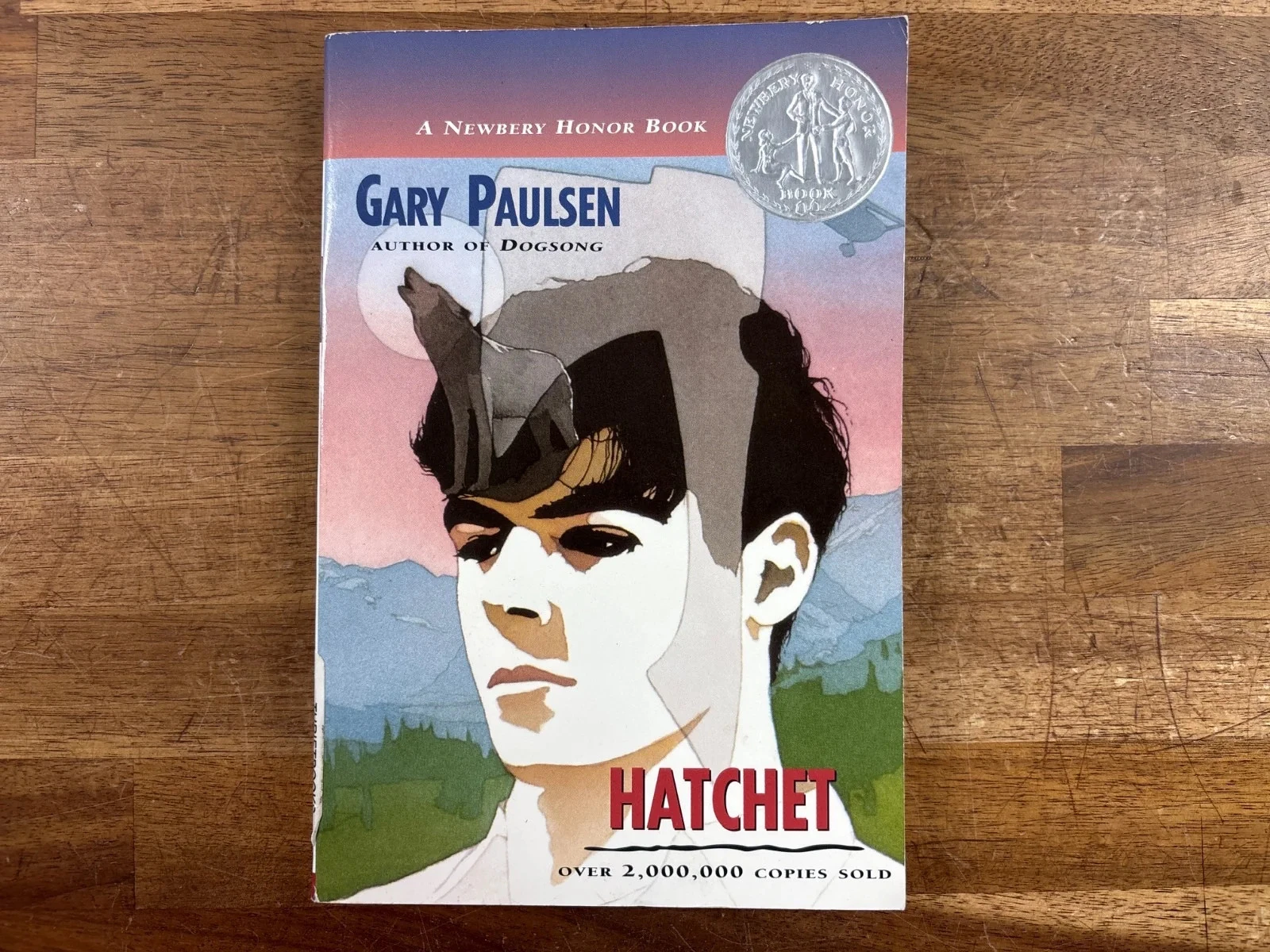 Hatchet by Gary Paulsen Newbery Honor Paperback Novel