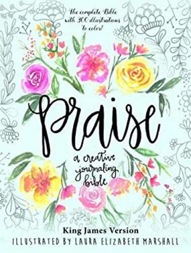 Praise: A Creative Journaling Bible Hardcover