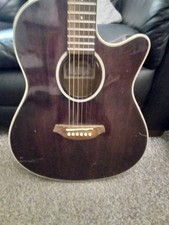 Ibanez Electric Acoustic guitar
