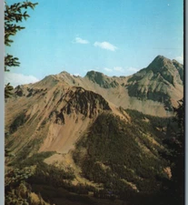High Country above OPHIR, Colorado Colo near Hwy. 145 Vintage Postcard/pc225