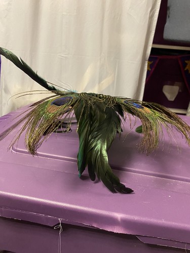 Peacock Feather Masquerade Mask - Picture 4 of 9