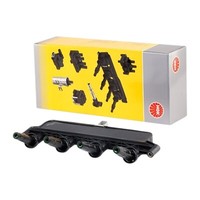 ZüNdspule NGK U6005 Passend FüR Citroen C2 C3 Picasso Peugeot 106 206 306