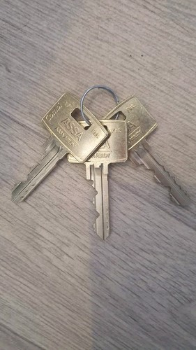 Assa Abloy High Security Padlock - Picture 4 of 8