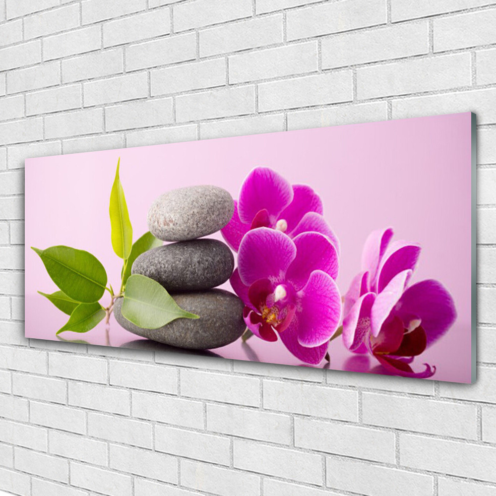 Image plexiglas 125x50 cm lavable et incassable pour decoration murale moderne
