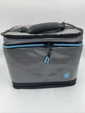 Apple Insulated Lunch Bag Box Cooler Employee Merch Gray Blue  Rare