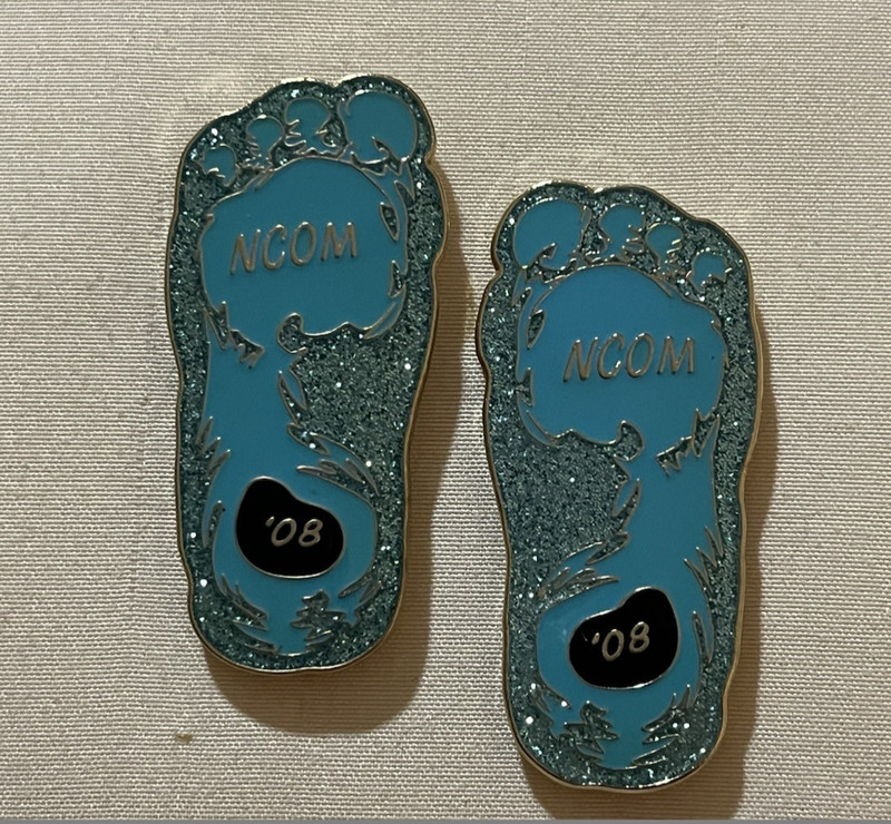 2008 Odyssey of the Mind NC 2-Piece Pin Set