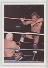 1988 Wonderama NWA Larry Zbyszko vs Dusty Rhodes #336 0s4