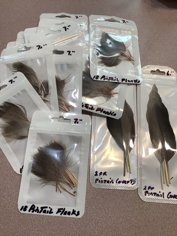 4 packs of 18 pintail flank feathers@, Prime, stripped & defluffed &$1 to low 48