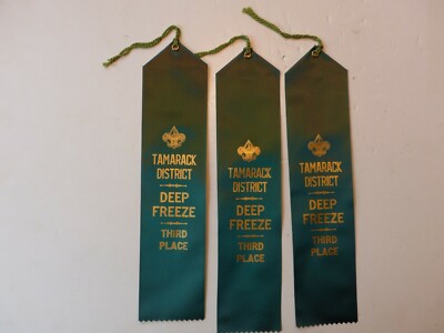 3 Third Place Vintage Tamarack Disctrict DEEP FREEZE Boy Scout BSA  Flag Ribbons
