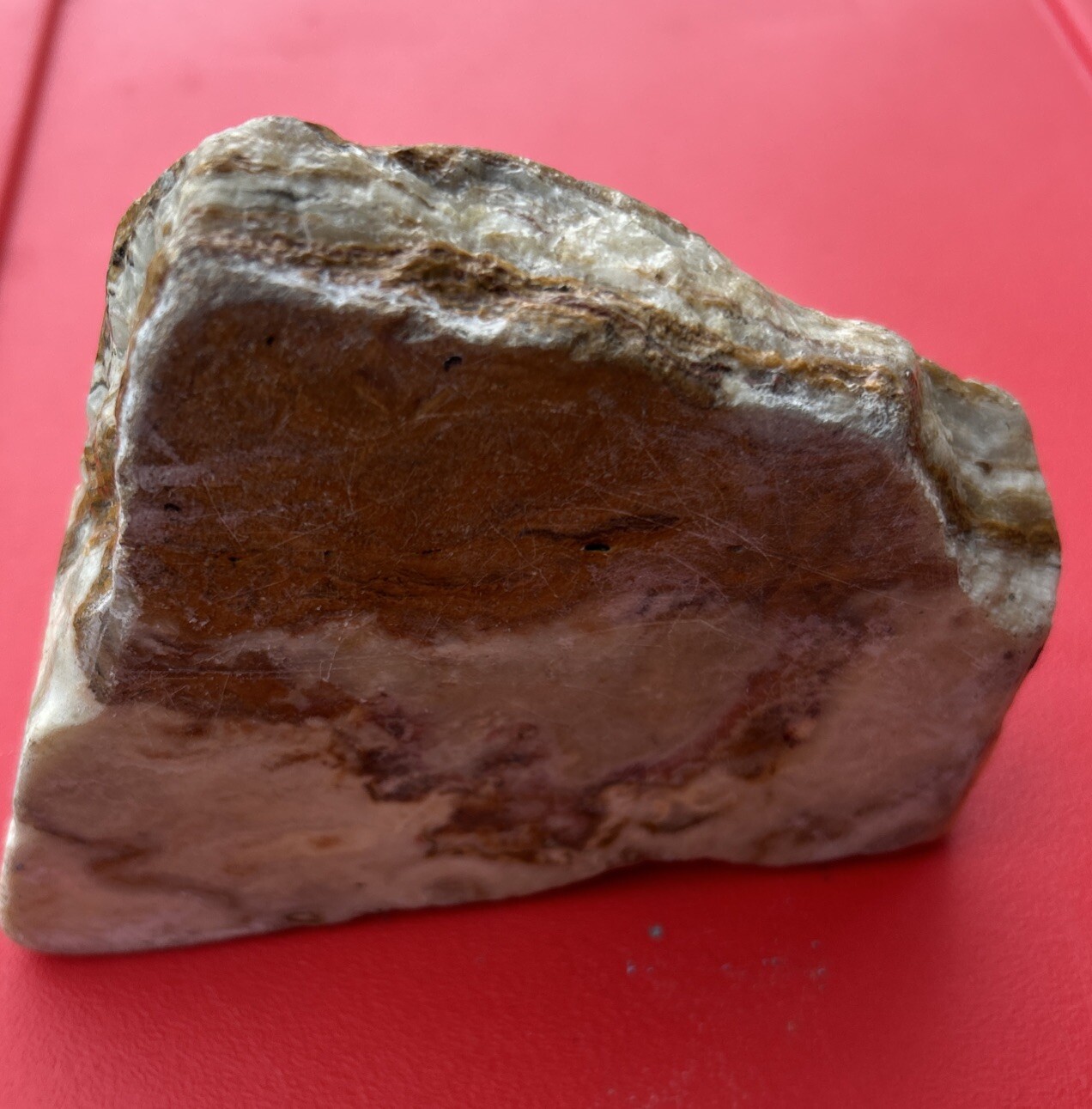 Picture 6 of 7