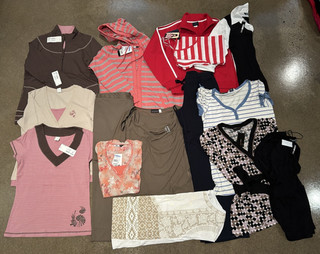 15 PIECES SIZE 14/L WOMEN'S BULK CLOTHING GROUP/MIXED ITEMS BUNDLE