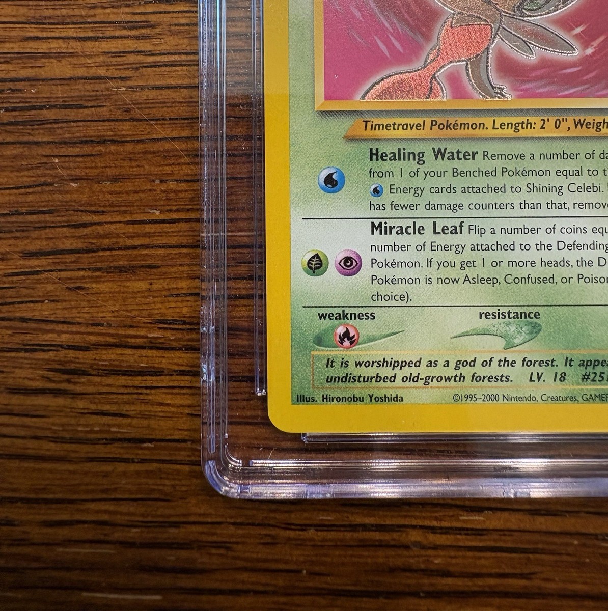 ポケモンカードゲーム　Shining Celebi　英語版　 106/105 Shining Celebi 2002 Neo Destiny #106/105 1st Edition Holo