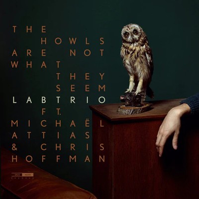 Attias,michael / Hoffman,chris - Howls Are Not What They Seem - Music CD