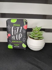 NEW & SEALED Perfectly Posh Fizz Me Up Chunk Soap