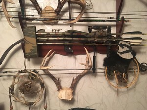 Details About Golden Eagle Electronics Hawk Bow