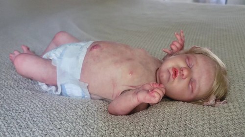 SOLE RARE Evangeline Laura Lee Eagles STUDIO Baby DOLL LIFELIKE COA Gorgeous - Picture 22 of 23