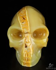 Gemstone 6.1" Bumble Bee Jasper Carved Crystal Elongated Mayan Alien Skull