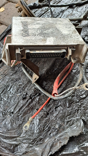Arnés de cableado telar motor Ford Sierra Pinto 2.0 + tipo carburador ECU - Imagen 10 de 17