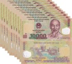 Vietnam 10000 Dong Polymer Mixed Year P 119 UNC LOT 10 PCS