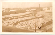 American Thread Co. Birch Mill & Log Yard Milo Maine 1920s RPPC Postcard Photo