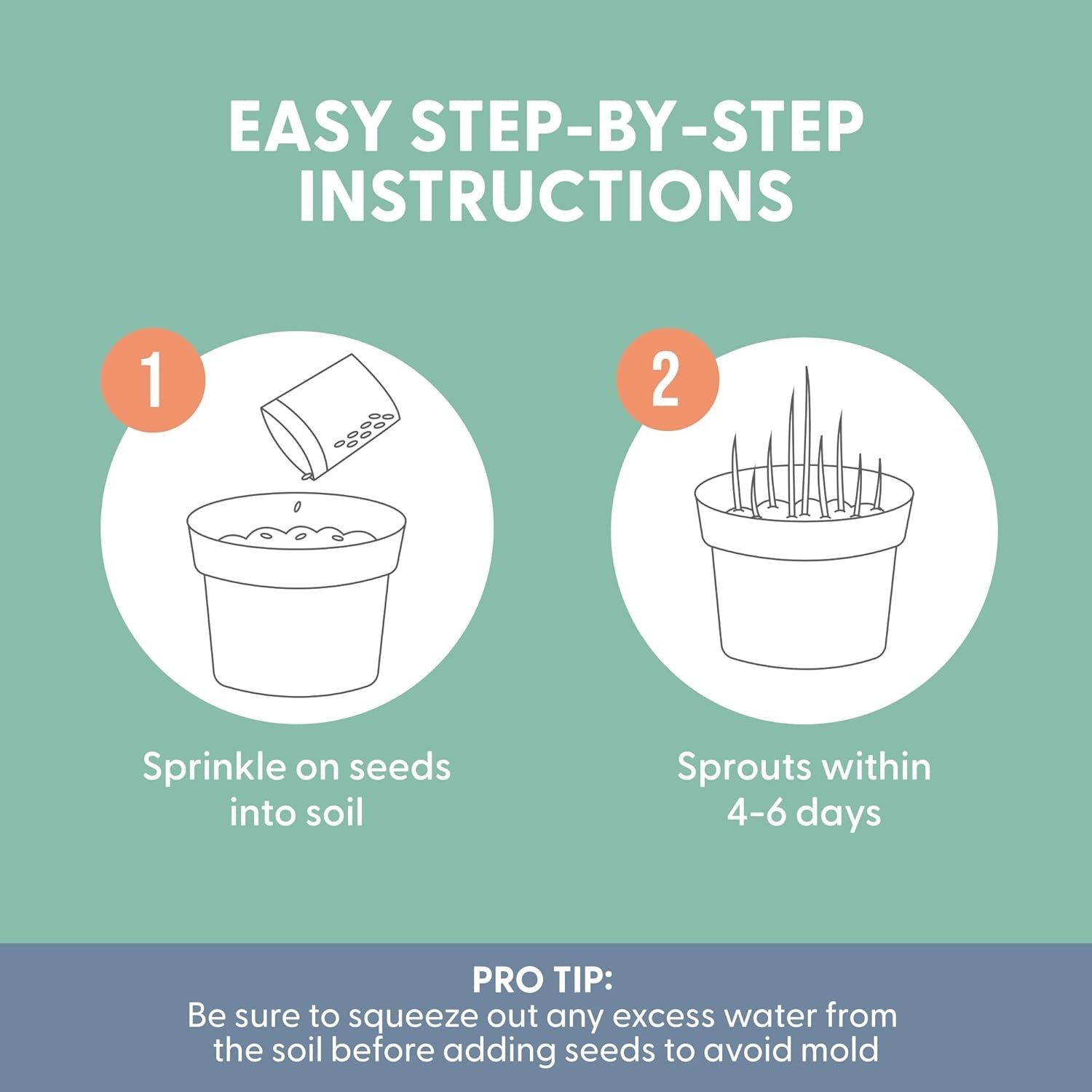 100% Organic Cat Grass Seeds - Cat Grass for Indoor Cats - (Non GMO) 16 oz