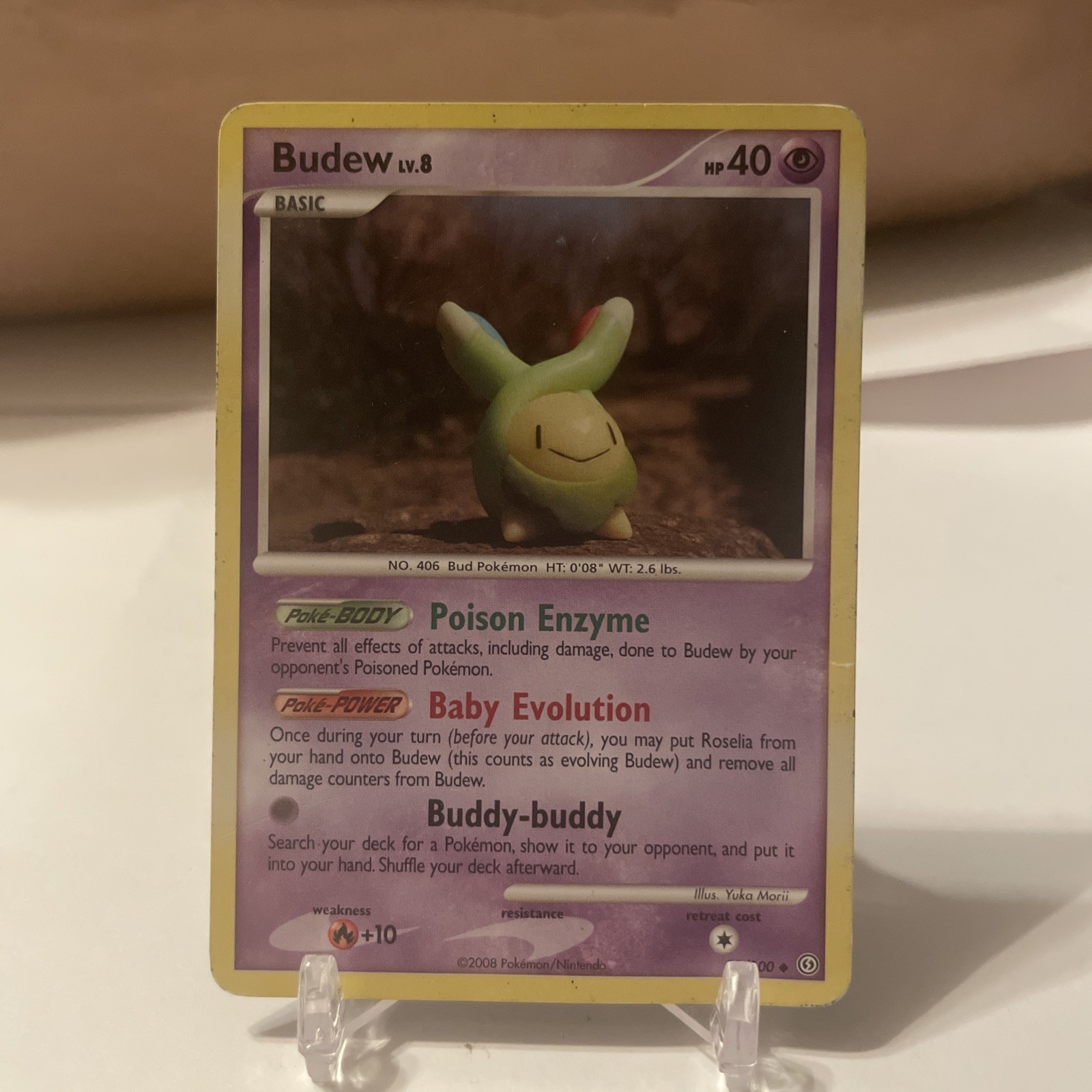 Pokémon TCG - Budew (33/100) Stormfront - Regular Rare - LP