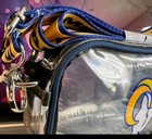 NFL Los Angeles Rams - NWT Clear Camera Stadium Bag Officially Licensed — photo 4