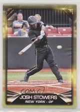 2019 Blowout Cards Test Issue Gold Josh Stowers #4 1o4