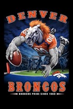 Denver Broncos 2 Field NFL FOOTBALL TEAM Sports -MAGNET