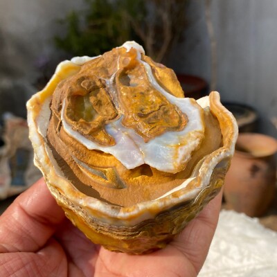 403g Naturally Shaped Symbol Agate Collection Specimen Healing | eBay
