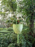 4 Legs Macrame Cotton Woven Plant Holders For 10 Plant Pots Green Color 43-i... on sale 4 Legs Macrame Cotton Woven Plant Holders For 10 Plant Pots Green Color 43-i... on sale
