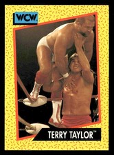 1991 Impel WCW #70 Terry Taylor
