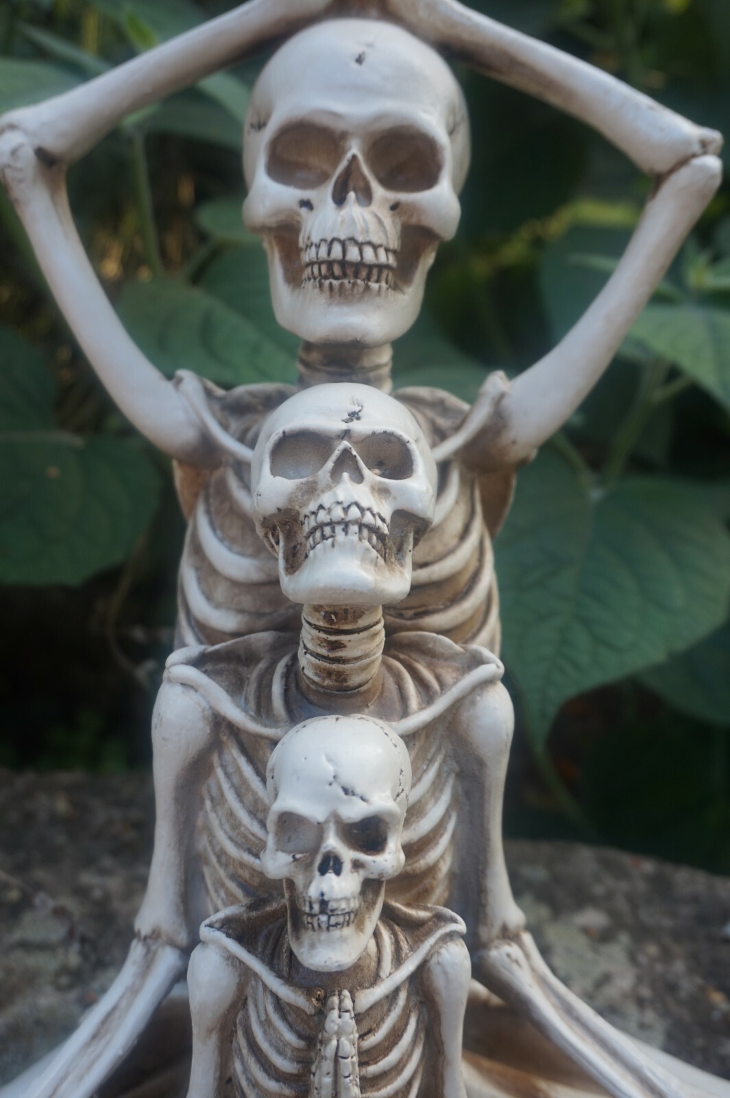 Figurine squelettes de la sagesse gothique 36cm, cadeau idéal heroic fantasy
