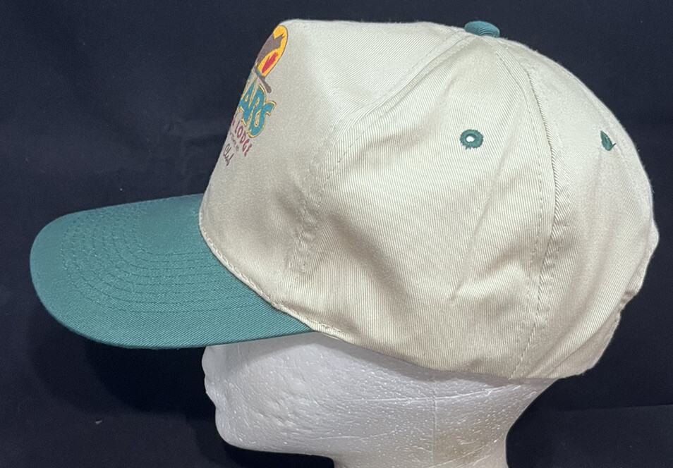 Picture 5 of 12