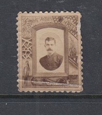 THE ORIGINAL PICTURE YOURSELF STAMP 1885 DETRIOT CINDERELLA?